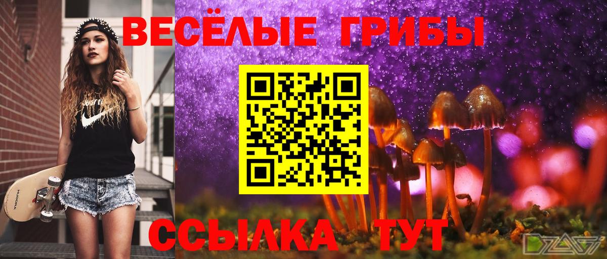 Псилоцибиновые грибы Psilocybe  Вход с VPN  Галлюциногенные грибы MAGIC MUSHROOMS  Луховицы 